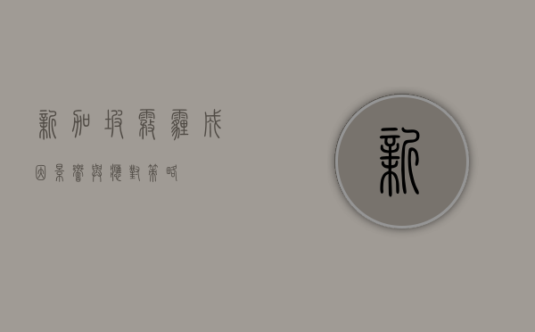 新加坡雾霾，成因、影响与应对策略