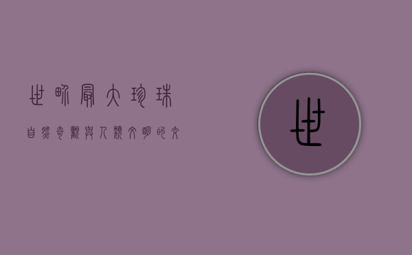 世界最大珍珠，自然奇观与人类文明的交织