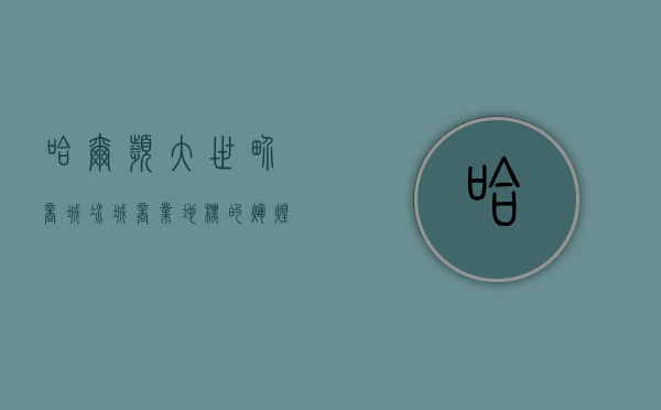 哈尔滨大世界商城，冰城商业地标的辉煌与未来