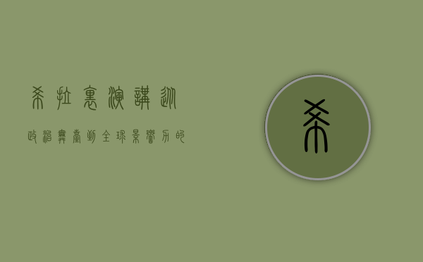 希拉里演讲，从政治舞台到全球影响力的深刻洞察