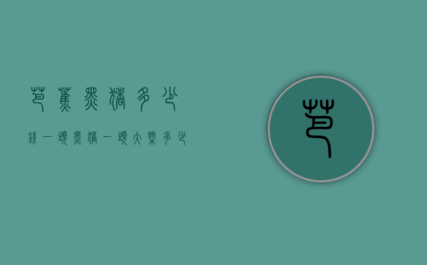 芭蕉黑猪多少钱一头（黑猪一头大概多少钱）