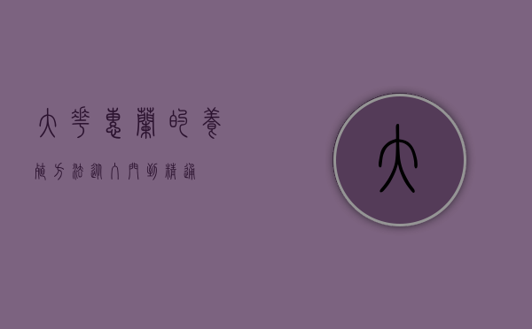 大花蕙兰的养殖方法，从入门到精通