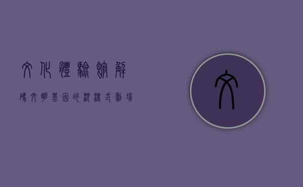 文化体验馆，解码文明基因的沉浸式剧场