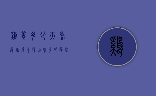 鸡养多少天卖最划算（养鸡大概多久能卖）