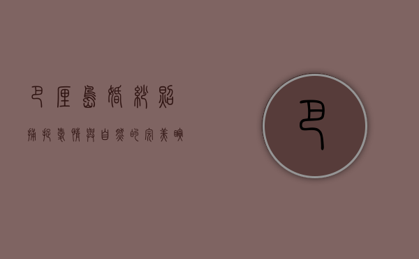 巴厘岛婚纱照，捕捉爱情与自然的完美瞬间