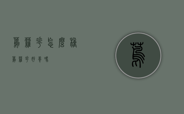 茑萝花怎么种（茑萝花好养吗）