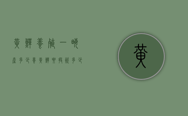 黄鳝养殖一亩产多少（养黄鳝要投资多少钱一亩）