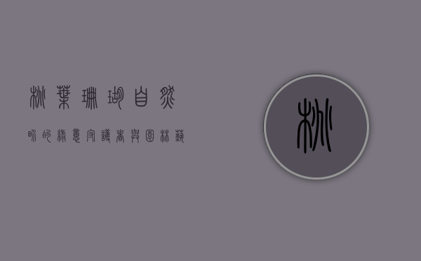 桃叶珊瑚，自然界的绿意守护者与园林艺术的瑰宝