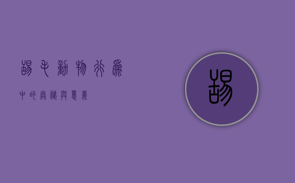 舔毛，动物行为中的奥秘与意义