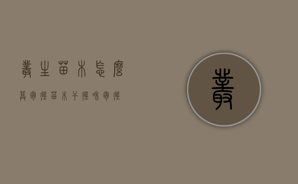 丛生苗木怎么算胸径（苗木干径和胸径）