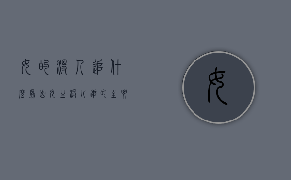 女的没人追什么原因（女生没人追的主要原因是这些）