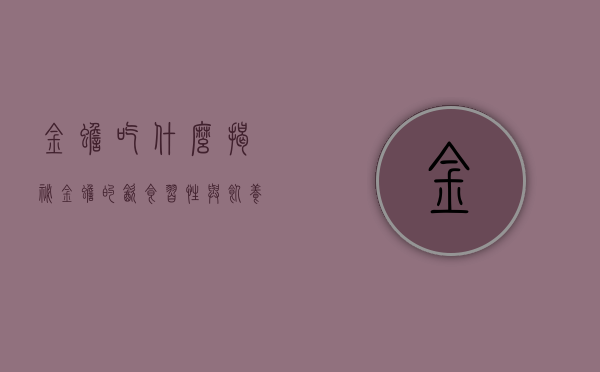 金蟾吃什么？揭秘金蟾的饮食习性与饲养要点