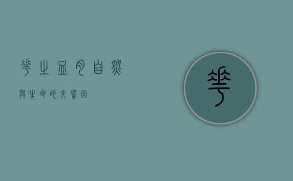 花之血肉，自然与生命的交响曲