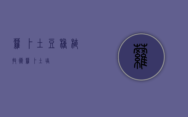 萝卜土豆种植技术（萝卜土培）