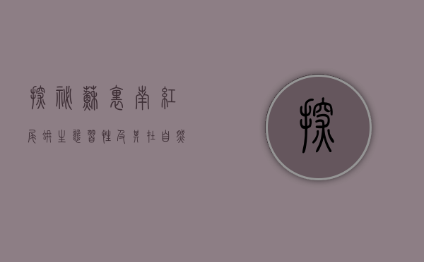 探秘苏里南红尾蚺，生态、习性及其在自然界的角色