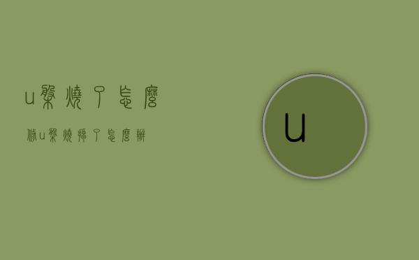 u盘烧了怎么修（u盘烧掉了怎么办）