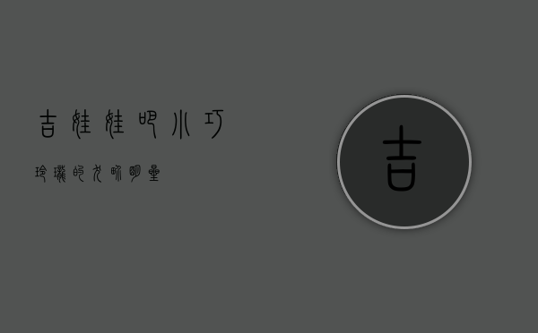 吉娃娃吧,小巧玲珑的犬界明星 吉娃娃吧,小巧玲珑的犬界明星