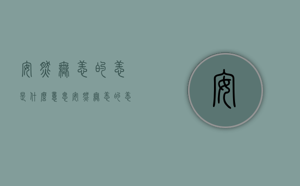 安然无恙的恙是什么意思（安然无恙的恙是什么意思?）