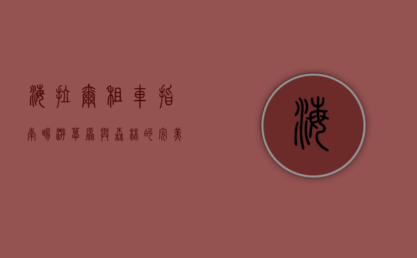 海拉尔租车指南，畅游草原与森林的完美选择