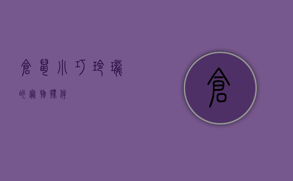 仓鼠，小巧玲珑的宠物伙伴