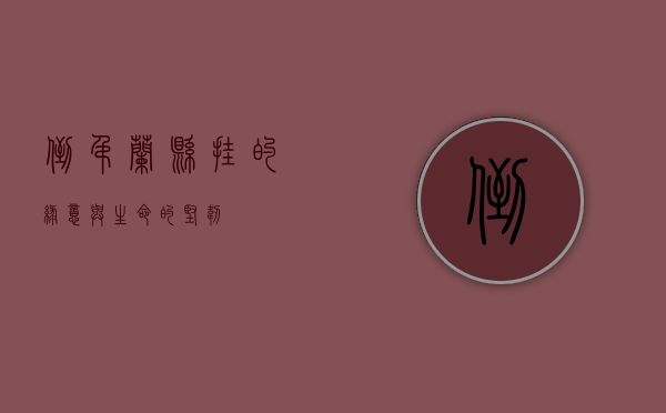 倒吊兰，悬挂的绿意与生命的坚韧