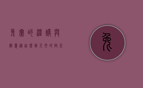 兔窝的温暖与智慧，从自然到人文的启示