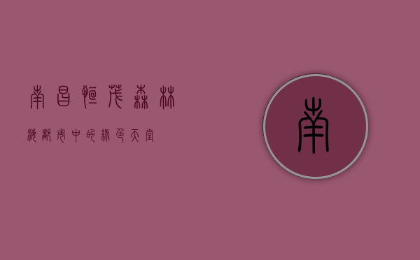 南昌恒茂森林海，都市中的绿色天堂