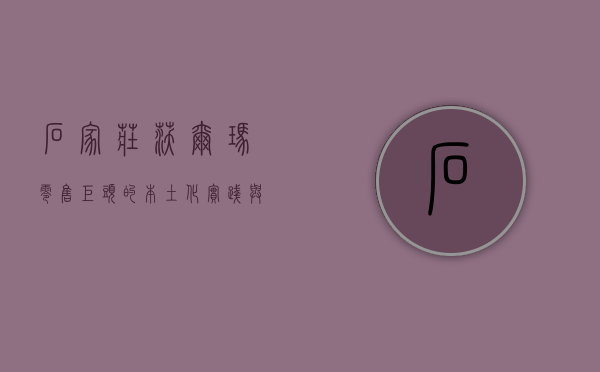 石家庄沃尔玛，零售巨头的本土化实践与社区影响