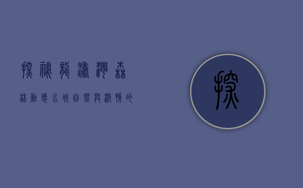 探秘龙涛湾森林动感水城，自然与激情的完美交融