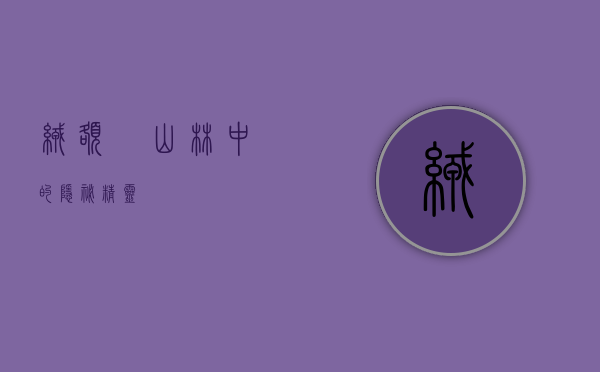 绒额鳾，山林中的隐秘精灵