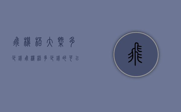 飞机杯大概多少钱（飞机杯多少钱的可以买）