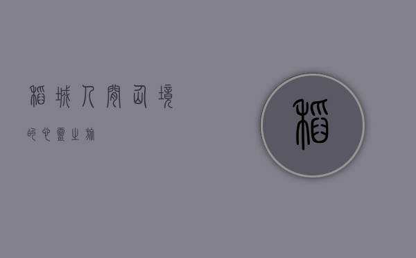 稻城，人间仙境的心灵之旅
