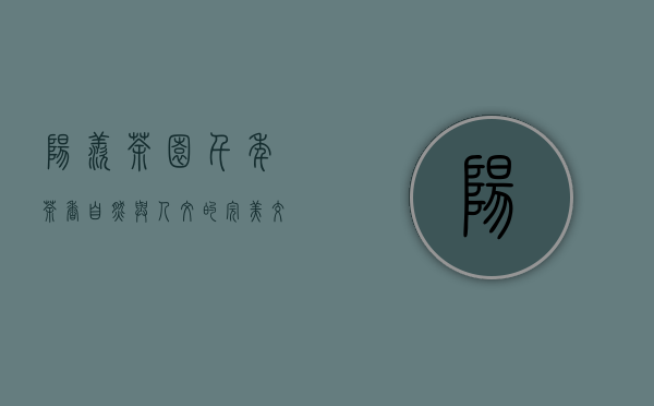 阳羡茶园，千年茶香，自然与人文的完美交融