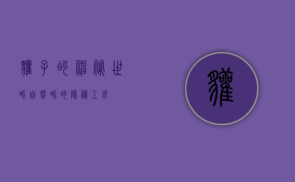 獾子的神秘世界，自然界的隐秘工匠