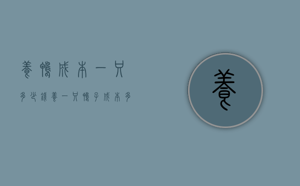 养鸭成本一只多少钱（养一只鸭子成本多少钱）