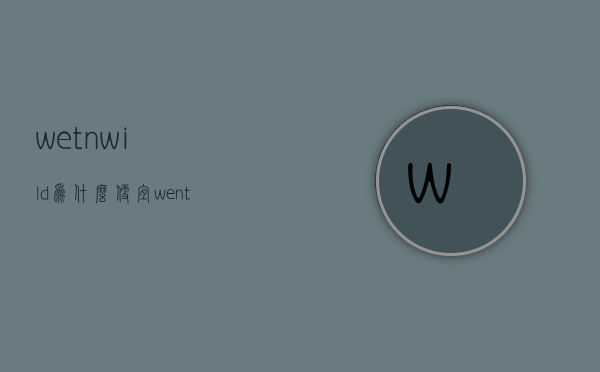 wetnwild为什么便宜（wentnwild）