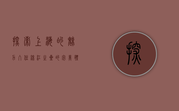 探索上海的魅力，入住锦江之星的完美体验