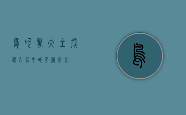 鸟叫声大全，探索自然中的天籁之音