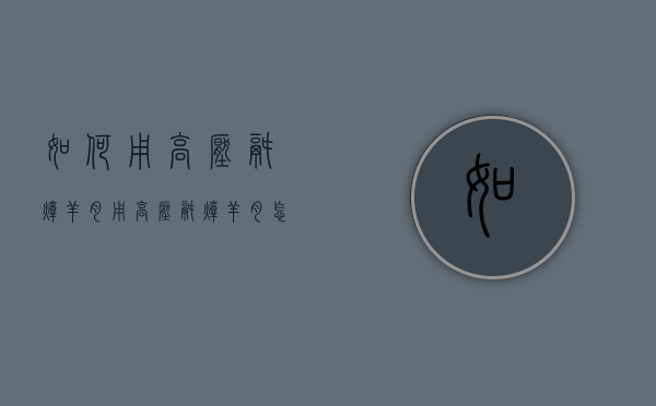 如何用高压锅炖羊肉（用高压锅炖羊肉怎么做）