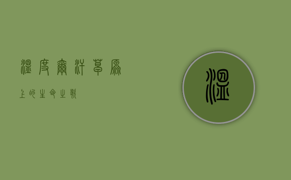 温度尔汗，草原上的生命之歌