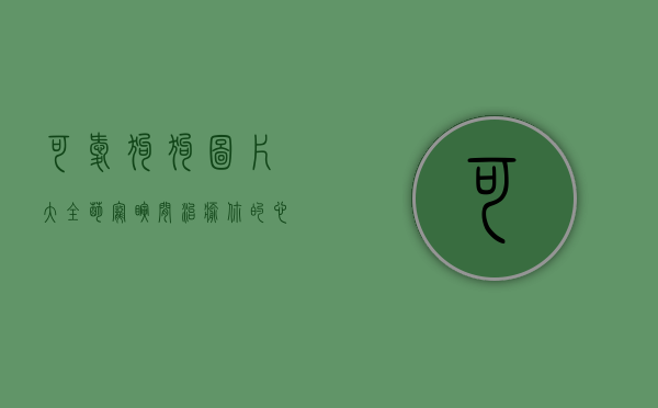 可爱狗狗图片大全，萌宠瞬间，治愈你的心灵