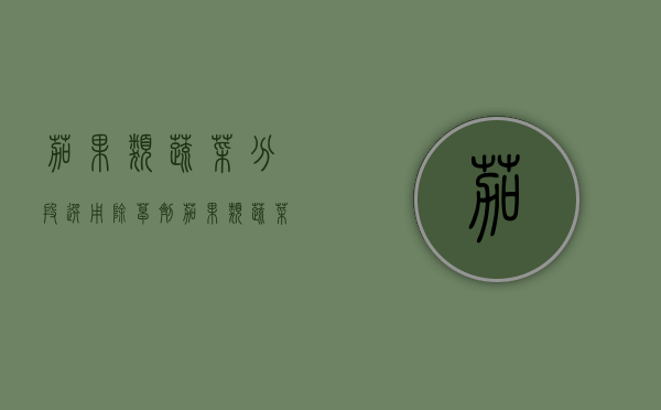 茄果类蔬菜分段选用除草剂（茄果类蔬菜生物学特性和栽培技术方面的共同特点）