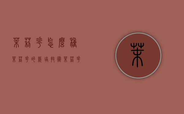 茉莉花怎么种？茉莉花的栽培技术（茉莉花怎么样种植）