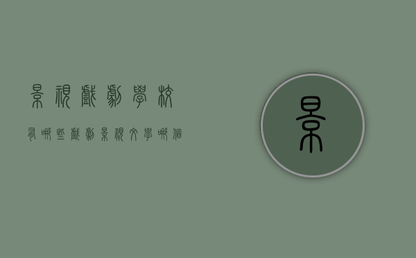 影视戏剧学校有哪些（戏剧影视文学哪个学校最好）
