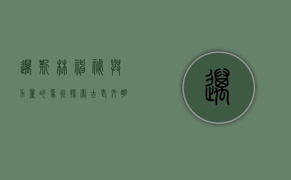 迈斯林，神秘与力量的象征，探索古老文明的智慧