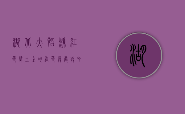 湖北大悟县，红色热土上的绿色发展与文化传承