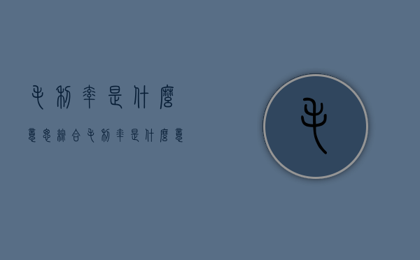 毛利率是什么意思（综合毛利率是什么意思）