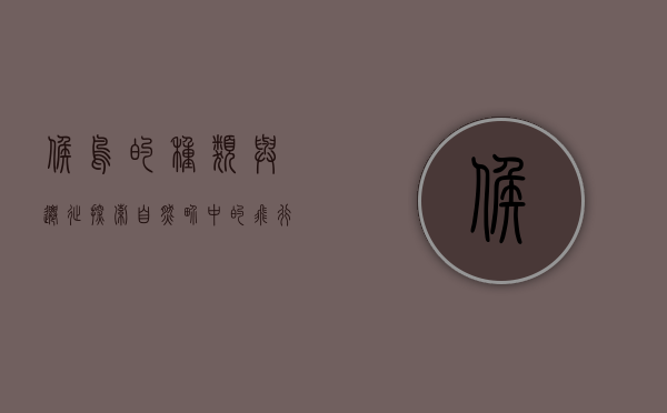 候鸟的种类与迁徙，探索自然界中的飞行奇迹