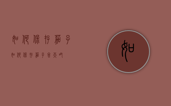 如何保存茄子（如何保存茄子冬天吃）