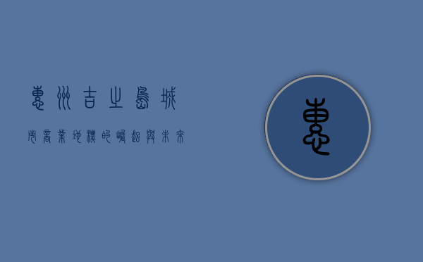 惠州吉之岛，城市商业地标的崛起与未来展望